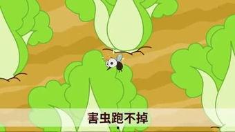 视频在线 国产小青蛙,探寻自然之美，传递生态理念