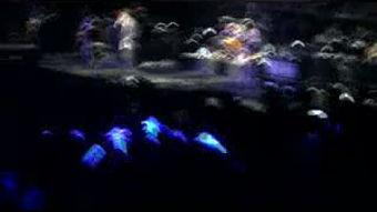 国产完美钢琴视频在线播放,视听盛宴，感受音乐的魅力